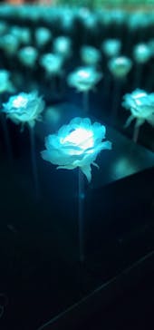 東京メガイルミに投稿された画像（2022/12/25）