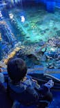 しながわ水族館に投稿された画像（2022/12/25）