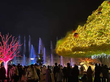 東京メガイルミに投稿された画像（2022/12/25）