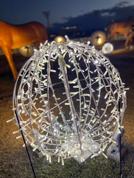 東京メガイルミに投稿された画像（2022/12/25）