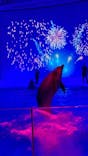 アクアワールド茨城県大洗水族館に投稿された画像（2022/12/25）