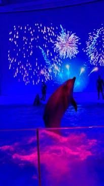 アクアワールド茨城県大洗水族館に投稿された画像（2022/12/25）