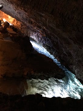 おきなわワールドに投稿された画像（2022/12/25）