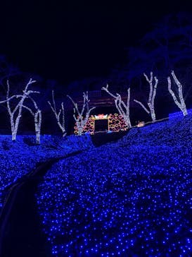 さがみ湖MORI MORIに投稿された画像（2022/12/25）