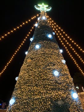 さがみ湖MORI MORIに投稿された画像（2022/12/25）