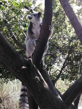 神戸どうぶつ王国に投稿された画像（2022/11/5）