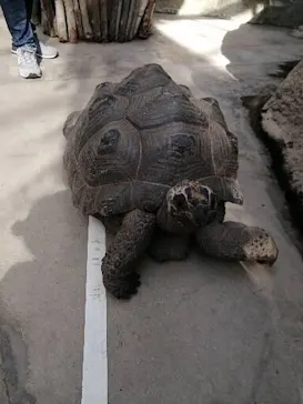 神戸どうぶつ王国に投稿された画像（2022/11/5）