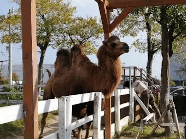 神戸どうぶつ王国に投稿された画像（2022/11/5）