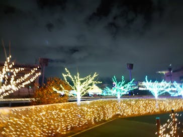 東京メガイルミに投稿された画像（2022/12/25）