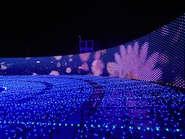 東京メガイルミに投稿された画像（2022/12/25）