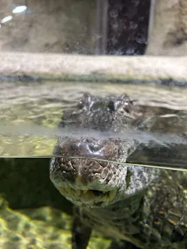 仙台うみの杜水族館に投稿された画像（2022/12/25）