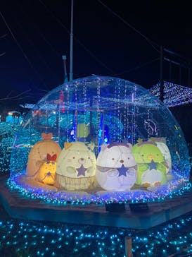 さがみ湖MORI MORIに投稿された画像（2022/12/25）