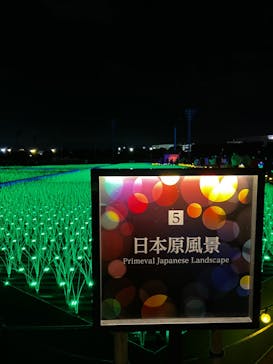 東京メガイルミに投稿された画像（2022/12/25）