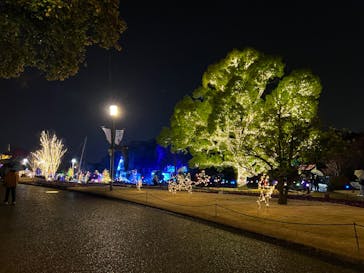 安城産業文化公園デンパークに投稿された画像（2022/12/25）