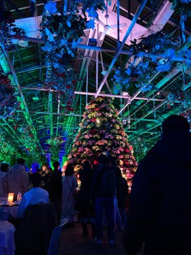 なばなの里に投稿された画像（2022/12/25）