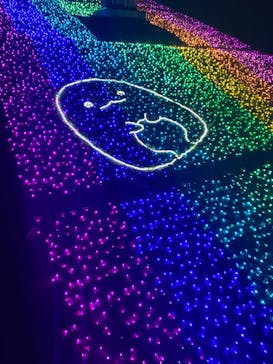 さがみ湖MORI MORIに投稿された画像（2022/12/25）