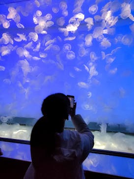 アクアワールド茨城県大洗水族館に投稿された画像（2022/12/25）