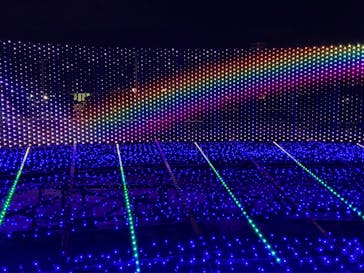 東京メガイルミに投稿された画像（2022/12/25）