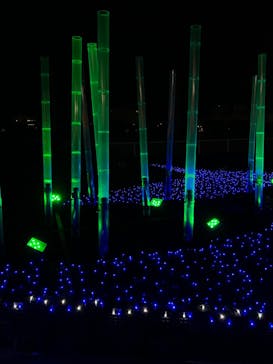 東京メガイルミに投稿された画像（2022/12/25）