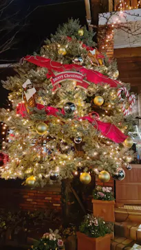 ひらかたパークに投稿された画像（2022/12/25）