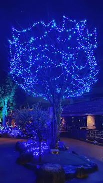 ひらかたパークに投稿された画像（2022/12/25）