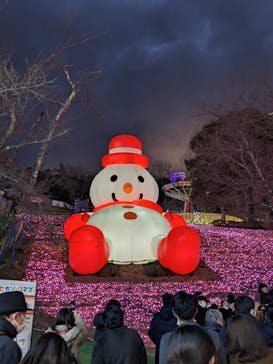 さがみ湖MORI MORIに投稿された画像（2022/12/25）