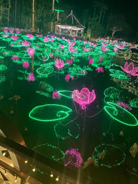 美らヤシパークオキナワ・東南植物楽園に投稿された画像（2022/12/25）