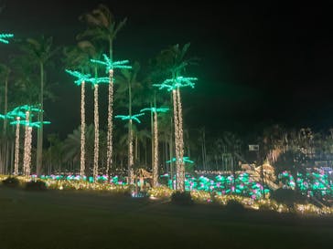 美らヤシパークオキナワ・東南植物楽園に投稿された画像（2022/12/25）