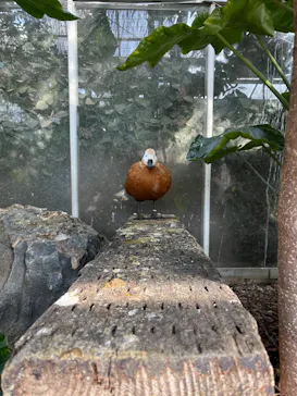 神戸どうぶつ王国に投稿された画像（2022/12/25）