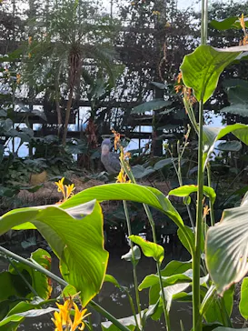 神戸どうぶつ王国に投稿された画像（2022/12/25）