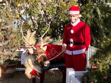 神戸どうぶつ王国に投稿された画像（2022/12/25）