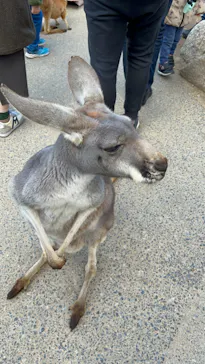 神戸どうぶつ王国に投稿された画像（2022/12/25）