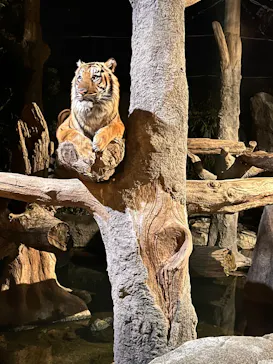 神戸どうぶつ王国に投稿された画像（2022/12/25）