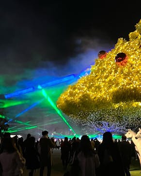 東京メガイルミに投稿された画像（2022/12/25）