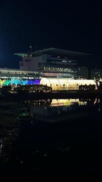 東京メガイルミに投稿された画像（2022/12/25）