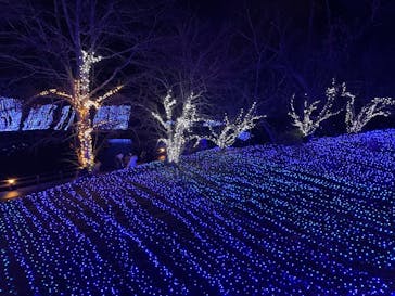 NESTA RESORT KOBE（ネスタリゾート神戸）に投稿された画像（2022/12/25）