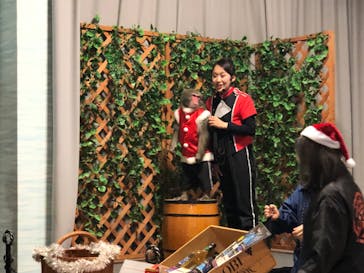 神戸イルミナージュに投稿された画像（2022/12/25）