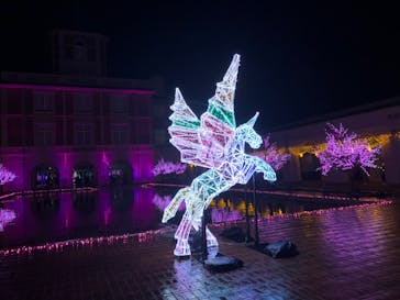 神戸イルミナージュに投稿された画像（2022/12/25）