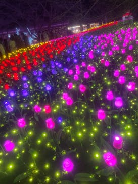 さがみ湖MORI MORIに投稿された画像（2022/12/25）