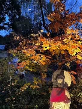 東京タワーに投稿された画像（2022/12/25）