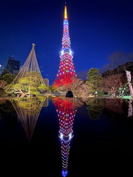 東京タワーに投稿された画像（2022/12/25）