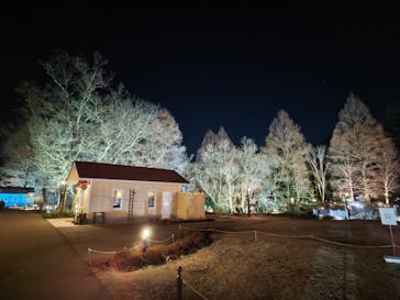 ムーミンバレーパークに投稿された画像（2022/12/25）