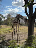 天王寺動物園に投稿された画像（2022/12/26）