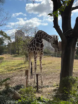天王寺動物園に投稿された画像（2022/12/25）