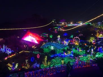 伊豆ぐらんぱる公園に投稿された画像（2022/12/25）