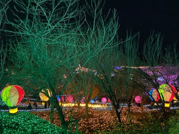 さがみ湖MORI MORIに投稿された画像（2022/12/25）