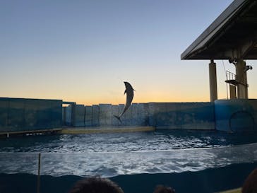 新江ノ島水族館に投稿された画像（2022/12/25）
