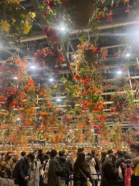 なばなの里に投稿された画像（2022/12/25）