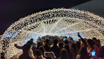 東京メガイルミに投稿された画像（2022/12/25）