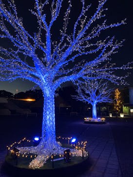 東京メガイルミに投稿された画像（2022/12/25）